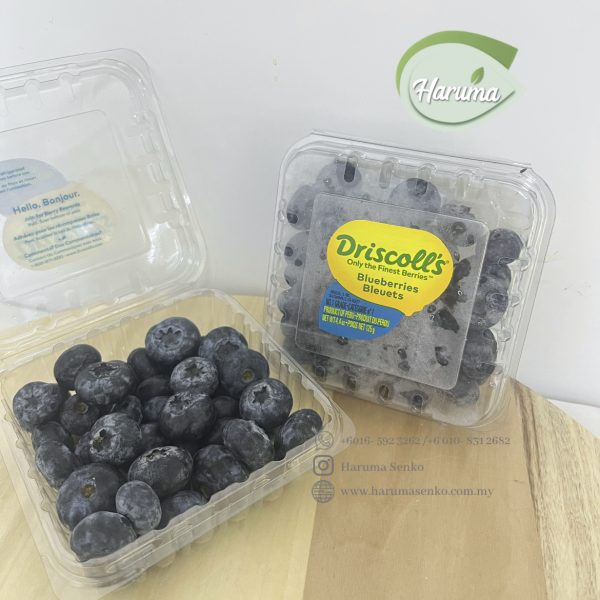 Blueberry Jumbo Premium  Pack 125g - Fruit Jungle - Online Fruits